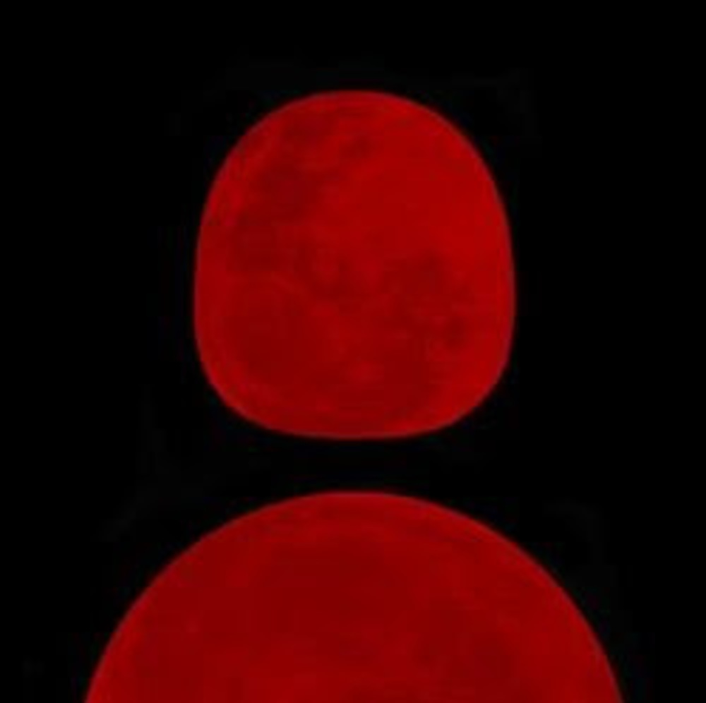 Meet your Posher, Amari